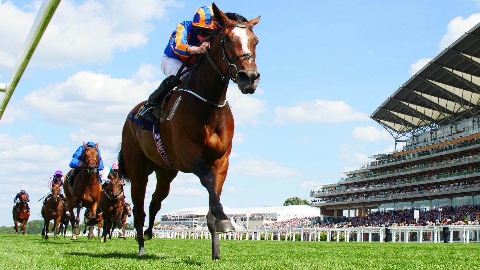 Racehorse Magic Wand